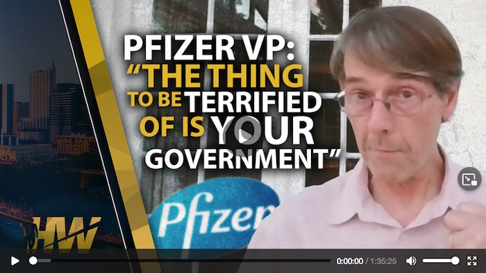 Former Pfizer VP: “The thing to be terrified of is your government”