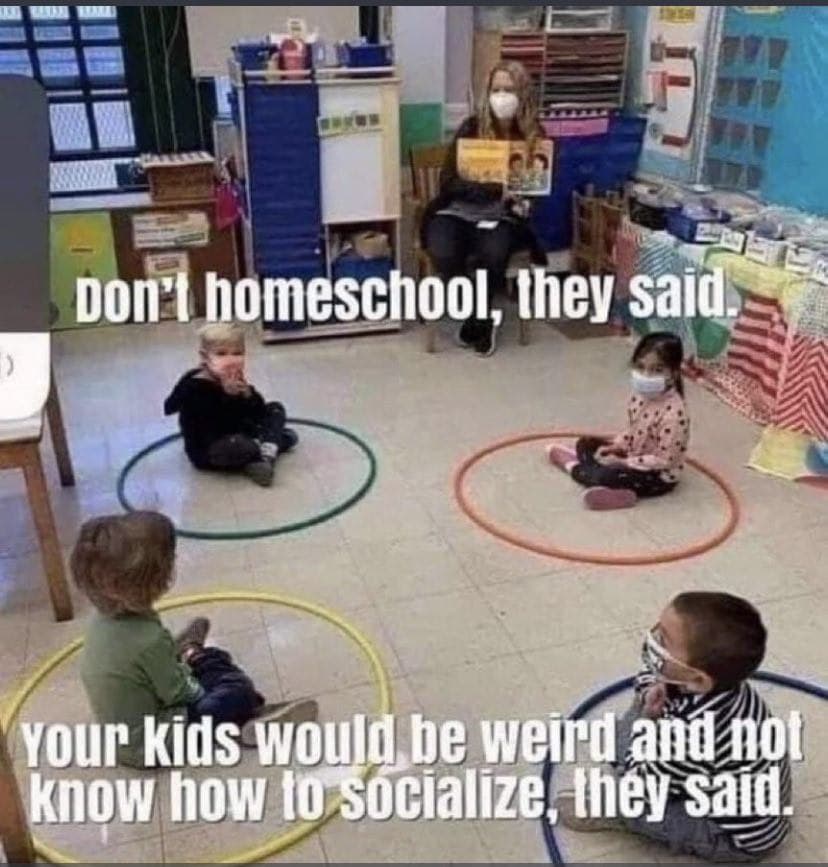 “Don’t homeschool” they said.